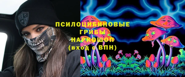 стафф Билибино